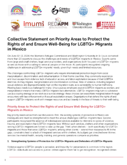 Collective Statement on Priority Areas to Protect the Rights of and Ensure Well-Being for LGBTQ+ Migrants in Mexico