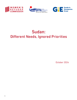 Sudan Scoping Study Cover Image